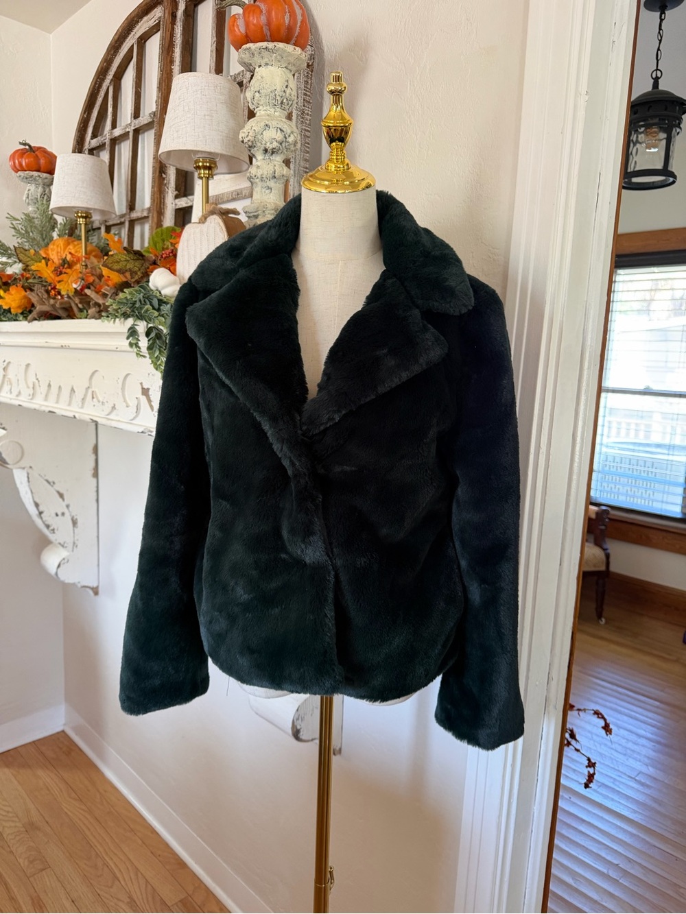 Rue21 Dark Green Faux Fur Teddy Jacket